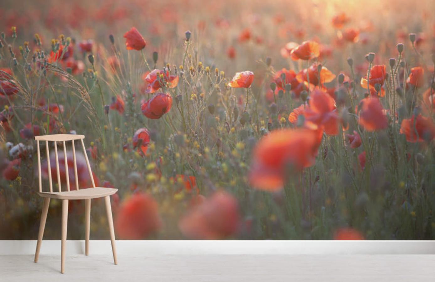 Con unos papeles pintados tan impresionantes como estos, la decoración minimalista de tu hogar ganará en calidez y personalidad.