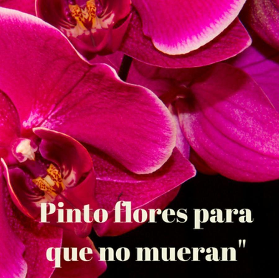 "Pinto flores para que no mueran"