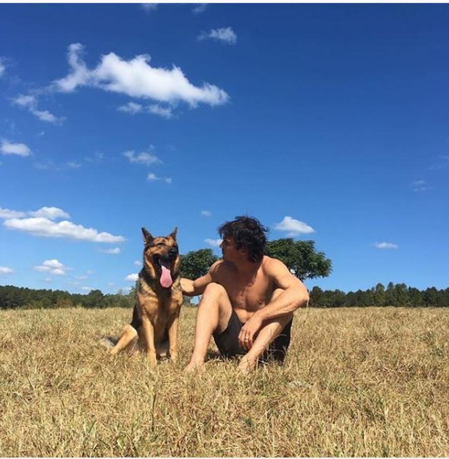 El actor y modelo estadounidense Ian Somerhalder es un verdadero amante de los perros. Su cuenta de Instagram está llena de fotos de él junto a sus mascotas.