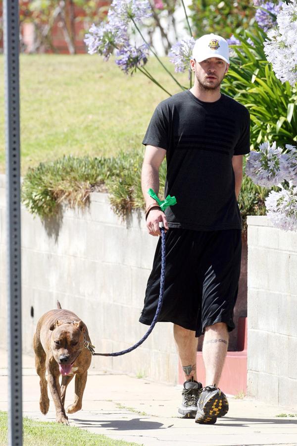 El actor y cantante tiene dos bóxer como mascotas llamados Buckley y Brennan. Es usual verlo en la calle con uno de sus 'pequeños amigos'.