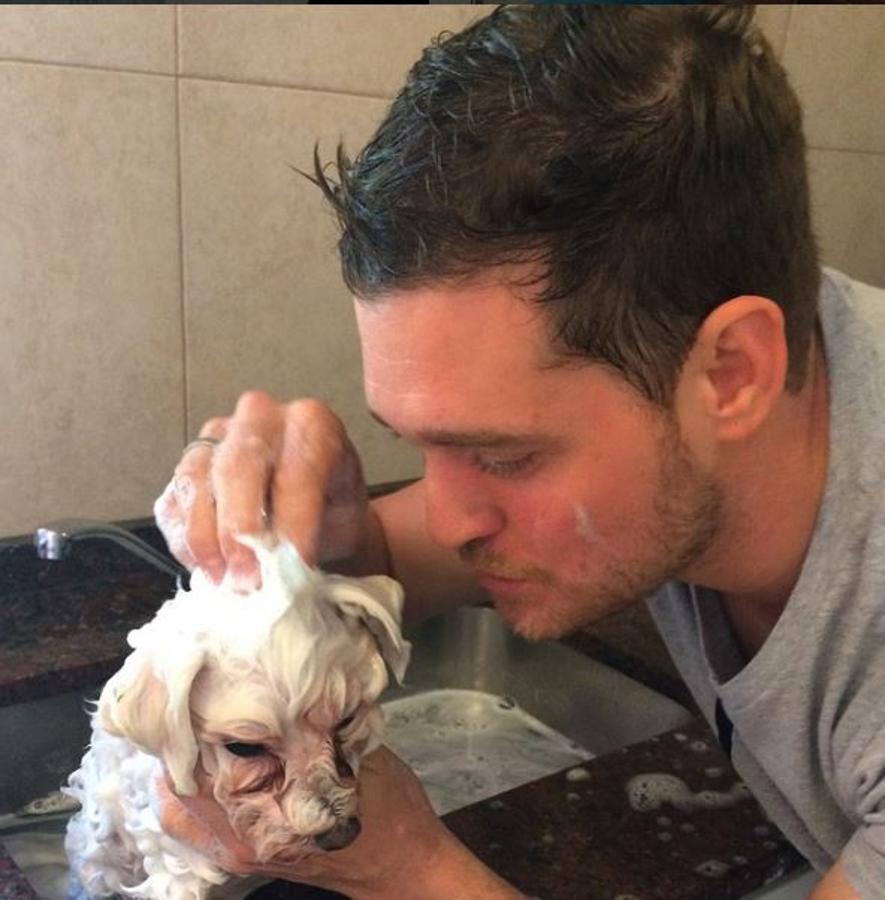 Michael Bublé y su familia son unos amantes de los perros. “Cada perro tiene su día (de baño)”, escribió el cantante canadiense en la imagen que compartió de su perro Simon.