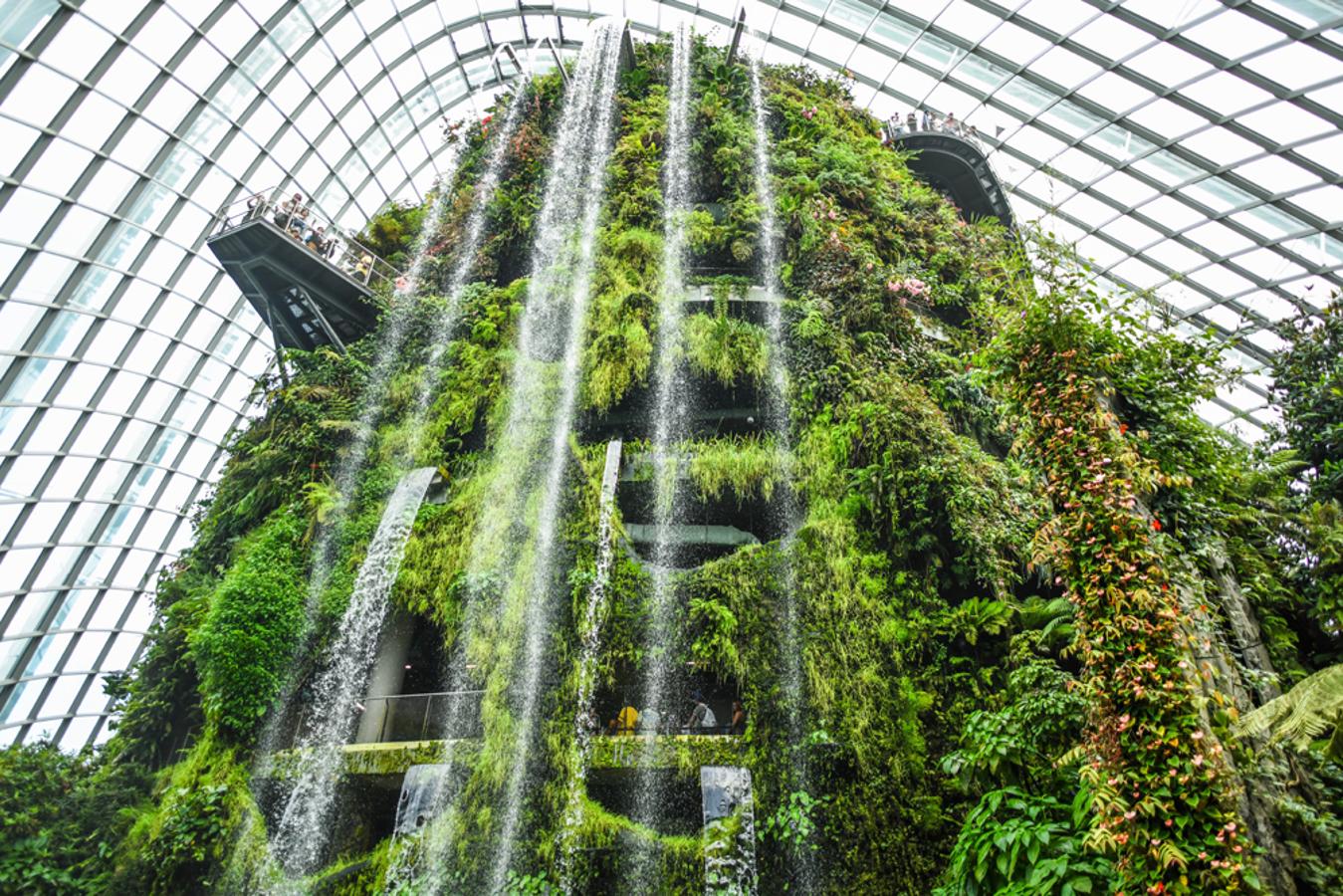 El imponente Cloud Forest en Singapur se encuentra en el no menos impresionante complejo de Gardens by the bay. Este invernadero tropical es una colina de 35 metros construida en un espacio cerrado con la catarata de interior más grande del mundo, y todo recubierto de una vegetación exuberante (más grande que un campo de fútbol). El hashtag #gardensbythebay se ha convertido en uno de los preferidos para los amantes del 'postureo' viajero.