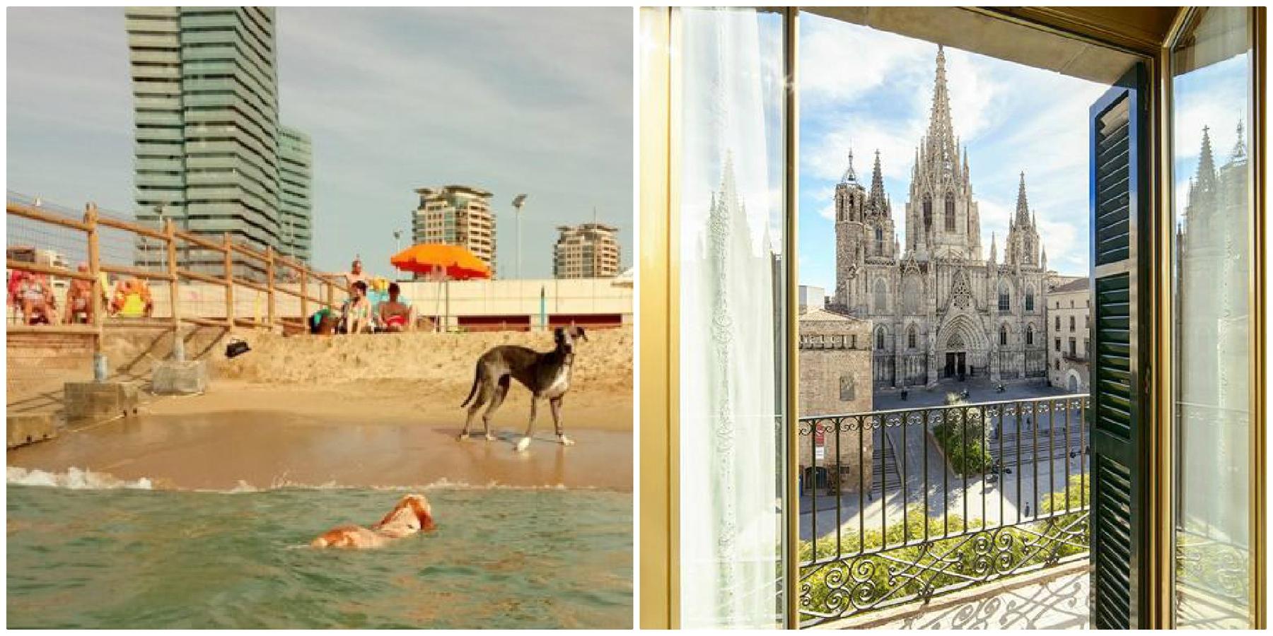 Como en Madrid, en Barcelona también se puede viajar en Metro con perro, siempre que no sea hora punta y se lleve con bozal y correa no extensible. Además, la ciudad está llena de restaurantes y centros de ocio 'pet friendly', cuenta con más de un centenar de áreas para perros. ¡Incluso la playa de Levante está abierta para ellos!Dónde alojarte: en el Hotel Colón, en pleno Barrio Gótico, que permite perros sea cual sea su peso y sin cargo adicional, siempre que no estén en las zonas comunes ni se queden solos en la habitación.