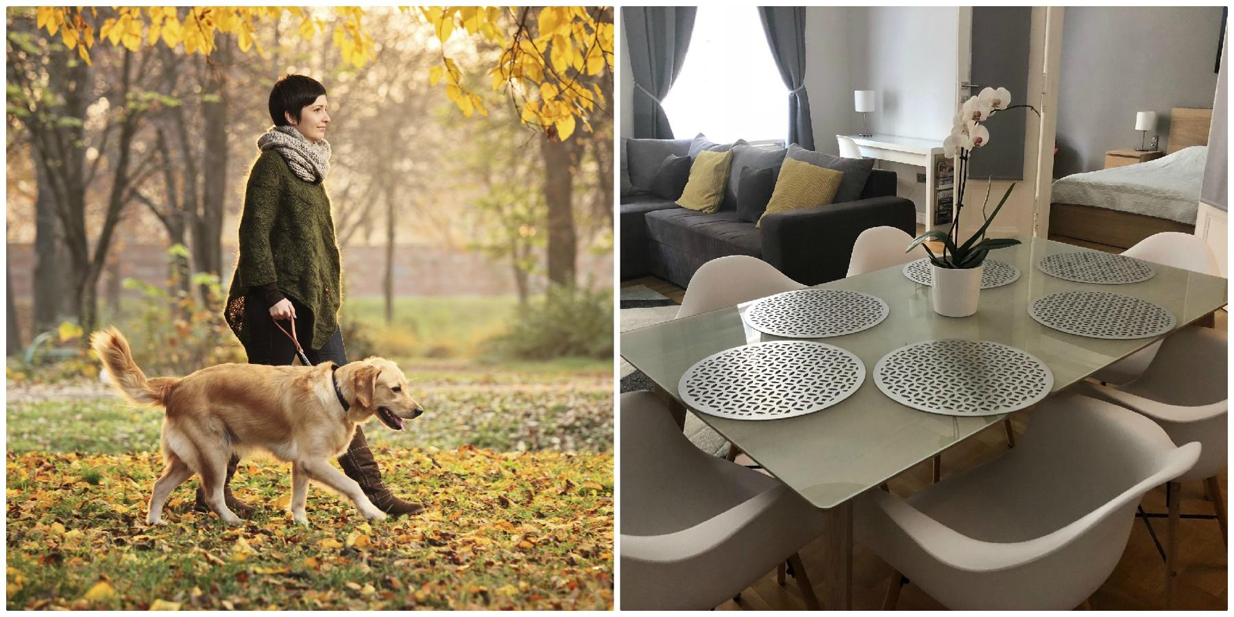 Cuando salgas a pasear con tu perro por la capital de Hungría, te parecerá un paraíso. Date una vuelta con tu mejor por amigo a orillas del Danubio. Cuando llegues al Puente de las Cadenas, cruzad al distrito de Buda, pasead juntos por las bonitas colinas y déjate maravillar por las vistas de Pest y el famoso Parlamento húngaro. Después, deja que tu mascota descanse un rato en el apartamento y aprovecha para visitar y tomar algo calentito en uno de los cafés de gatos de la ciudad.Dónde alojarse: En el Supreme City Center Apartment, donde las mascotas pueden alojarse gratis.