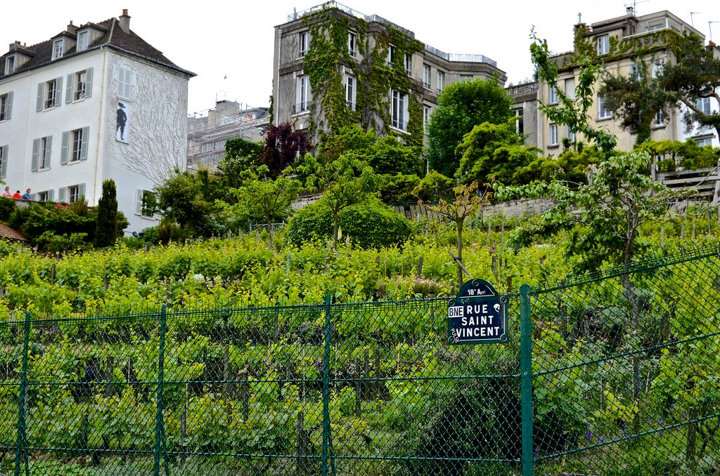 Aunque Francia cuenta con regiones vinícolas tan importantes como Burdeos, Borgoña o Champaña, una de las fiestas de la vendimia más conocidas es la que tiene lugar cada año en la colina de Montmartre. Sí, en pleno centro de París, junto al Sacré-Couer, hay más de 1.600 vides protagonistas de un evento que cada vez atrae a más curiosos: el Festival de la Vendimia en Montmartre. Del 10 al 14 de octubre se celebrará la 85º edición de esta fiesta, que combina eventos relacionados con la cultura del vino (como visitas a los viñedos, conciertos, degustaciones, un gran desfile y fuegos artificiales) con otros que forman parte del Festival de la Paz.