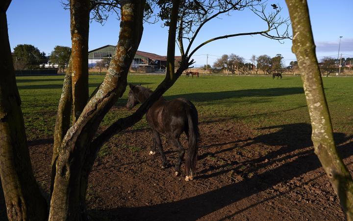 Ojalá el sábado 17 de noviembre haya un día soleado en Arteixo para que Marta Ortega y Carlos Torretta puedan celebrar parte de la fiesta de su boda en los espacios exteriores del club hípico de Casas Novas.