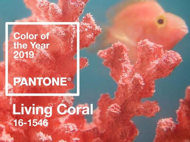 Fotos: 21 compras en color 'living coral' para sumarte a la tendencia Pantone de 2019