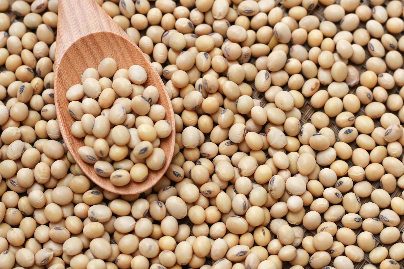 La soja contiene una cantidad elevada de ácidos grasos omega 6 en comparación con muchos otros productos de origen vegetal. El  aceite de soja  también es muy rico en omega 6.