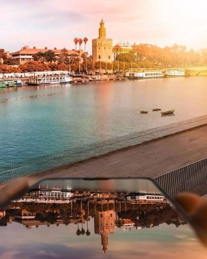 Si quieres vivir la Semana Santa de la forma más tradicional, Sevilla es el lugar perfecto. La ciudad  se llena de magia y vive el particular espíritu de las Procesiones . De hecho, la ciudad cuenta con lugares especiales para ver pasar las Procesiones como El Arco del Postigo, la Cuesta el Bacalao, la Plaza de El Salvador, o la zona de La Alfalfa.También podrás disfrutar de su maravillosa gastronomía y por la noche, de sus barrios más aclamados en estas fechas como el de Santa Cruz o Triana.