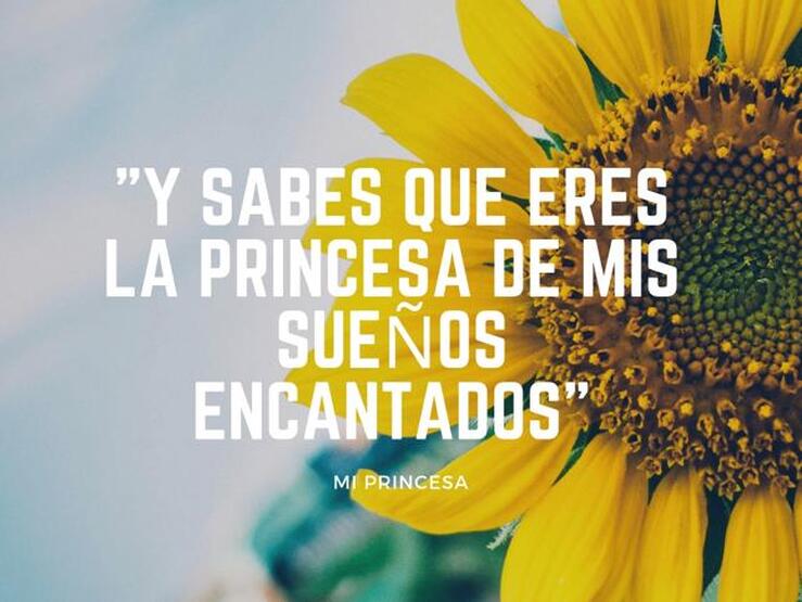 Fotos: Las frases más bonitas de las canciones de David Bisbal