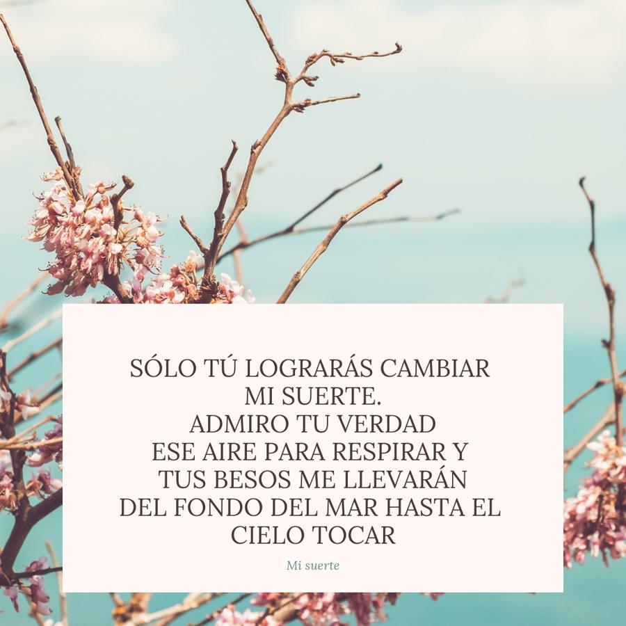 'Mi suerte', de David Bisbal.