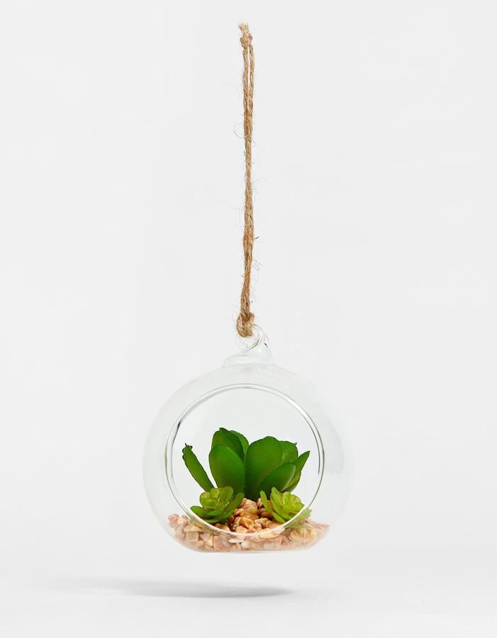 Si eres de las que siempre ha querido tener una planta en casa, pero la jardinería no es precisamente tu fuerte, esta es la solución idónea para ti. Una planta artificial inserta en un cristal transparente que tanto podrás colgar del techo como colocarla sobre una mesa o una estantería, por 7,99€.