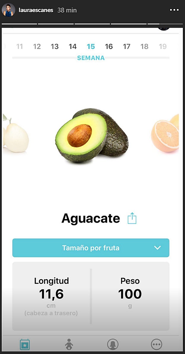 'Stories' de Laura Escanes donde muestra el proceso de su embarazo.