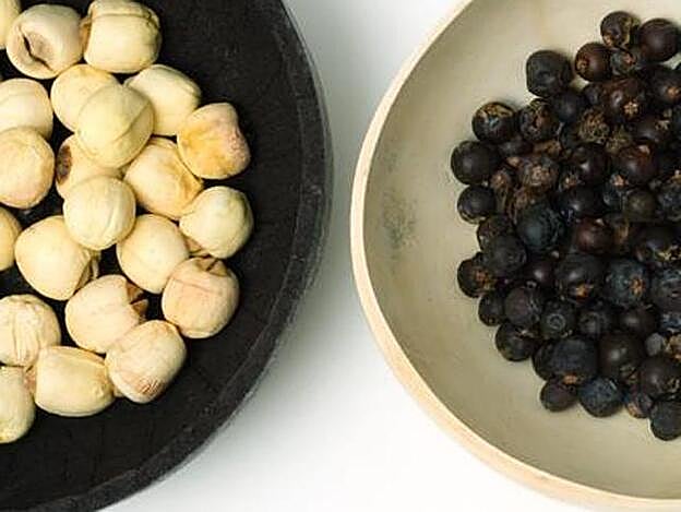 Semillas de loto y arándamos deshidratados.