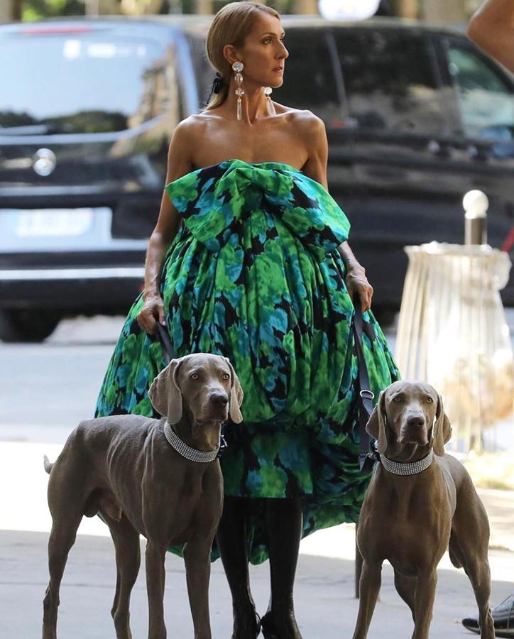 Esta foto es lo mejor que hemos visto en mucho tiempo. Una auténtica diva paseando a sus perros con collares de brillantes. Ell puede, no hay nada que se le resista a la cantante y no ha pasado desapercibida con este vestido palabra de honor con un extra de volumen.