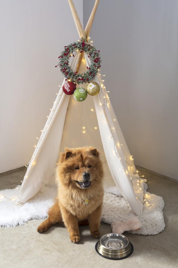 Tu mejor amigo también merece que su casa se vista de Navidad, y esta idea de Leroy Merlin nos parece sensacional.