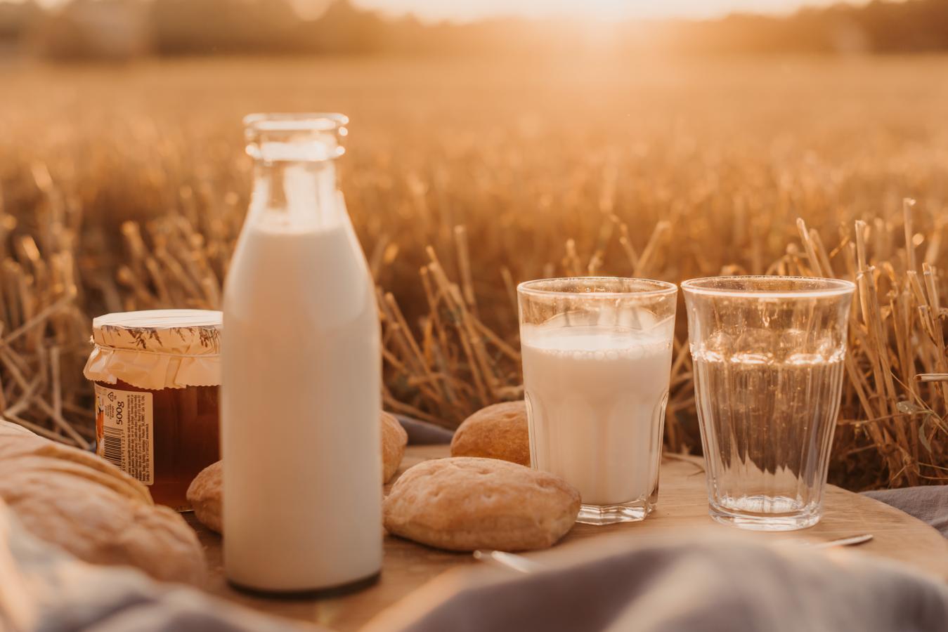 Como la leche animal queda desterrada, la vegetal ya sea de soja, almendra o avena es una muy buena opción sustitutiva.