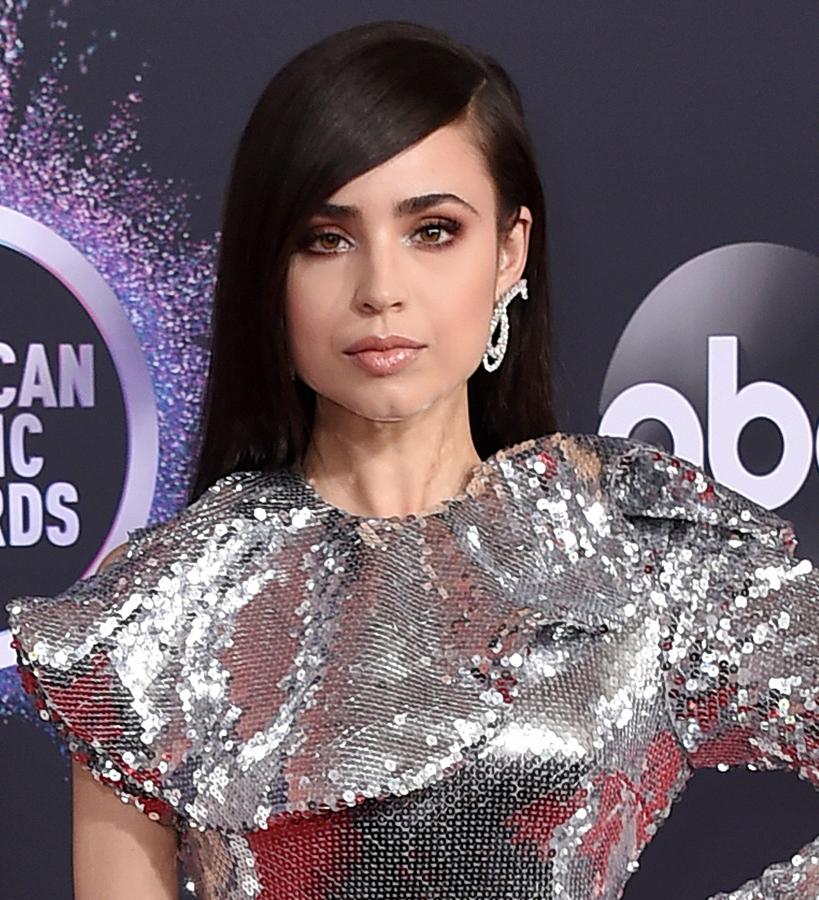 La cnatante se adelanta a la época navideña con vestido y maquillaje brillante. A pesar de maquillarse con tonos marrones, un toque de sombra plateada ha sido la encargada de añadir un toque de glamour y un extra de look a su rostro, que también brilla gracias al gloss de sus labios. Sin embargo, el resultado no resulta recargado, sino que los puntos de luz están bien compensados.