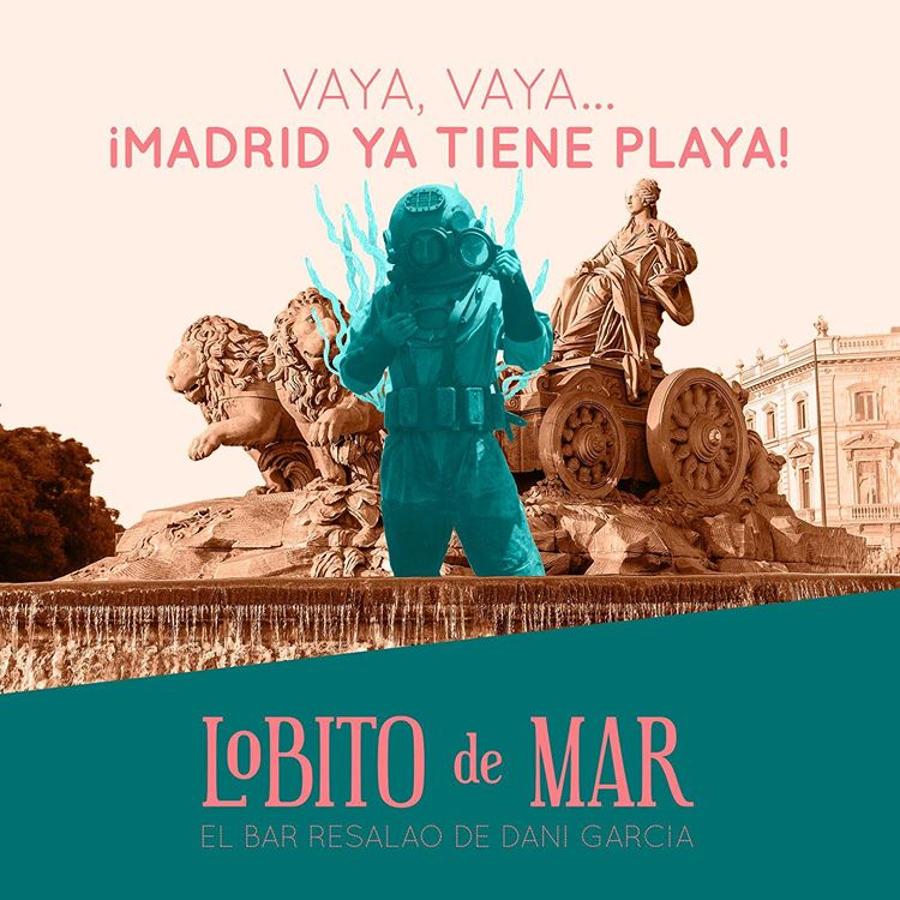 Madrid está para comérselo esta temporada, y el Puente de Diciembre se antoja como un momento ideal para darnos unos buenos homenajes pre navideños en algunas de las nuevas y esperadísimas aperturas de la capital (como la de Lobito de Mar de Dani García o el Dspeakeasy de Diego Guerrero) o para disfrutar de la mejor materia prima de nuestras cartas preferidas (del Glass de Ángel Léon en el Hotel Urban al clásico Horcher). Estos son  los 15 restaurantes que debes visitar si vienes a Madrid .