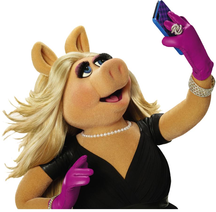 (Nacidas: del 27/01/71 al 14/02/72 – del 13/02/83 al 01/02/84 – del 31/01/95 al 18/02/96 – del 18/02/07 al 06/02/08 – del 05/02/19 al 24/01/20). Para las que tienen pareja : Es el año de tu signo (Cerdo) pero no te confíes porque eso no te garantiza la buena salud de tu relación. Este año, más que otros, deberás aplicarte en alimentarla porque hay personas que podrían intentar arrebatarte tu felicidad si no lo haces.  Para las que no la tienen : Tendrás a lo largo del año alguna relación que podría ir a más si tú lo quisieras. Debes valorar bien las cosas y pensar si estás dispuesta a sacrificar la total independencia que tienes ahora mismo a cambio.