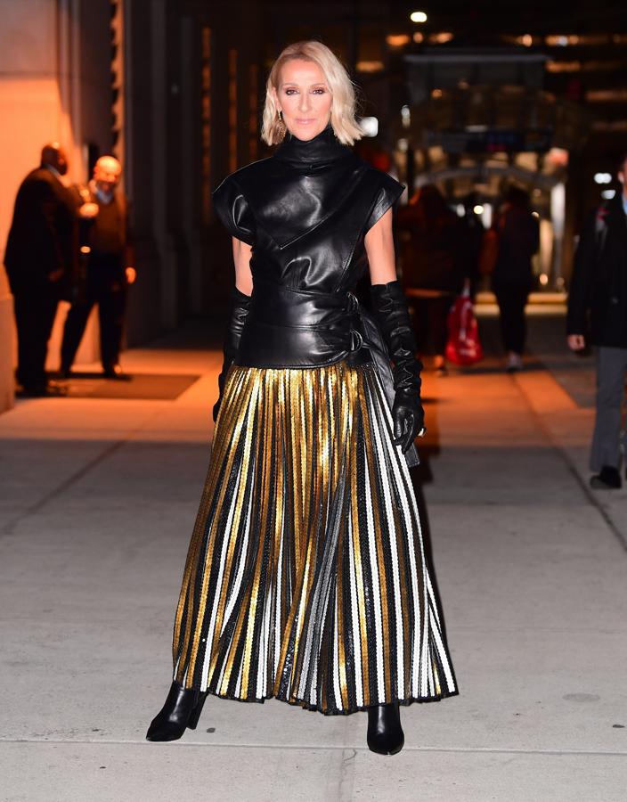 Céline Dion asistió a ver el ballet de Nueva York con un look que firmaba Proenza Schouler formado por un cuerpo de efecto piel sin mangas y una falda plisada en tonos metalizados.
