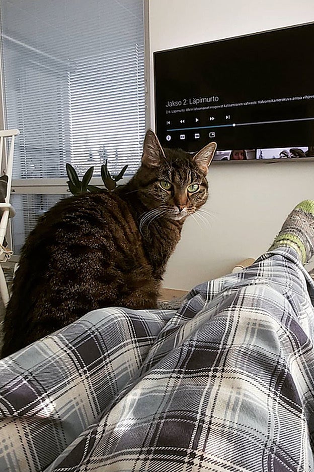 Hasta tu gato puede asombrarse ante la cantidad de horas que puedes pasar frente a la pantalla, sobre todo en este confinamiento obligatorio por el coronavirus.