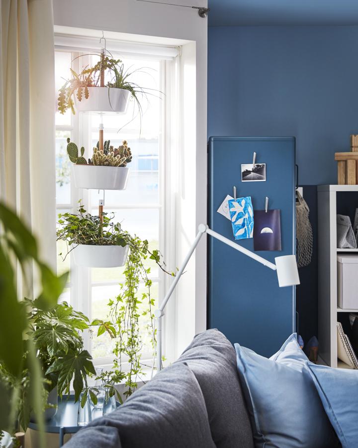 Las plantas naturales son sin duda tus mejores aliados a la hora de decorar. Macetas en diferentes tonos y colocadas según la forma de tu ventana, cactus, enredaderas... podrás tener un mini jardín en mitad de cualquier espacio.