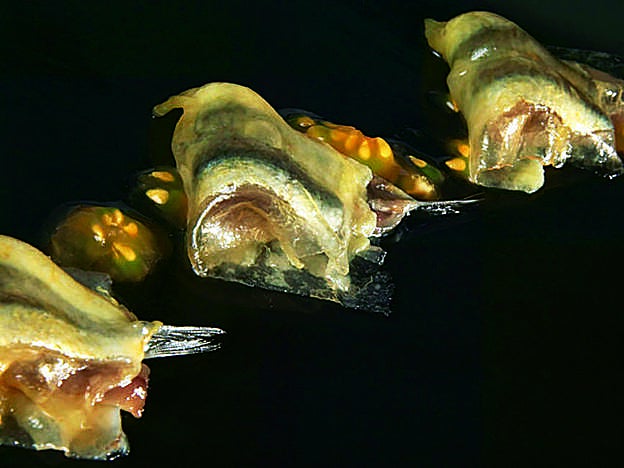 Antxoas en láminas con tocino.