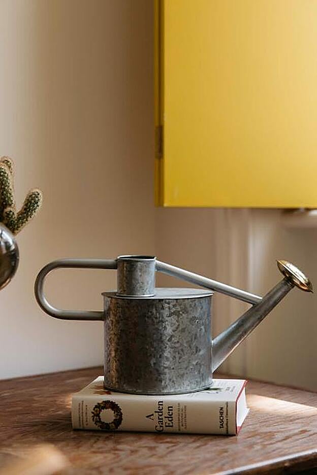 Regadera de metal galvanizado, (15,99 euros - 29,99 euros).