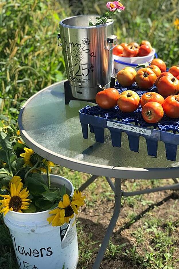 El sofrito de tomate, cebolla y aceite de oliva virgen extra es un superalimento en sí mismo.