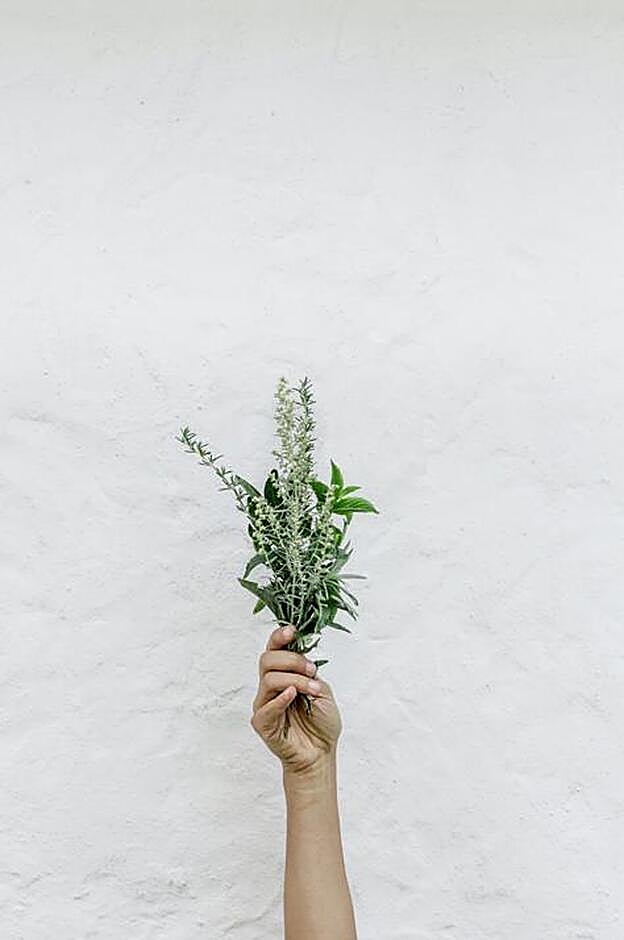 Los aromas de los cítricos y el aceite de hinijo te pueden echar una mano con la dieta.