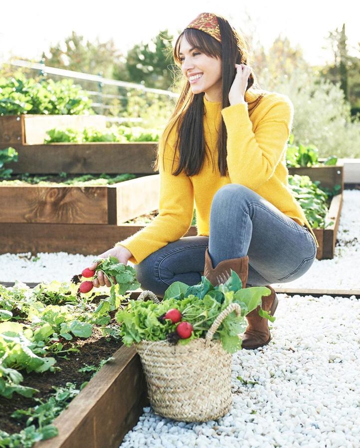 La modelo opta por una versión con menos ingredientes, pero estos son igual de beneficiosos: 1 manzana roja, 2 zanahorias, 1 puñado de espinacas, 2 barritas de apio y jengibre. La zanahoria aporta betacarotenos, el apio es un anttinflamatorio natural y el jegibre tiene propiedades termogénicas por lo que interviene en la pérdida de peso.