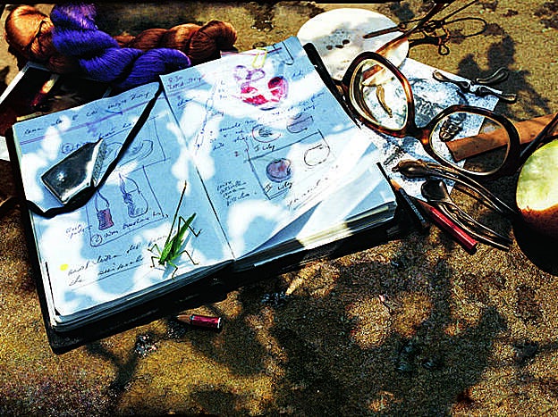 Uno de sus cuadernos de notas e inspiraciones en la naturaleza.