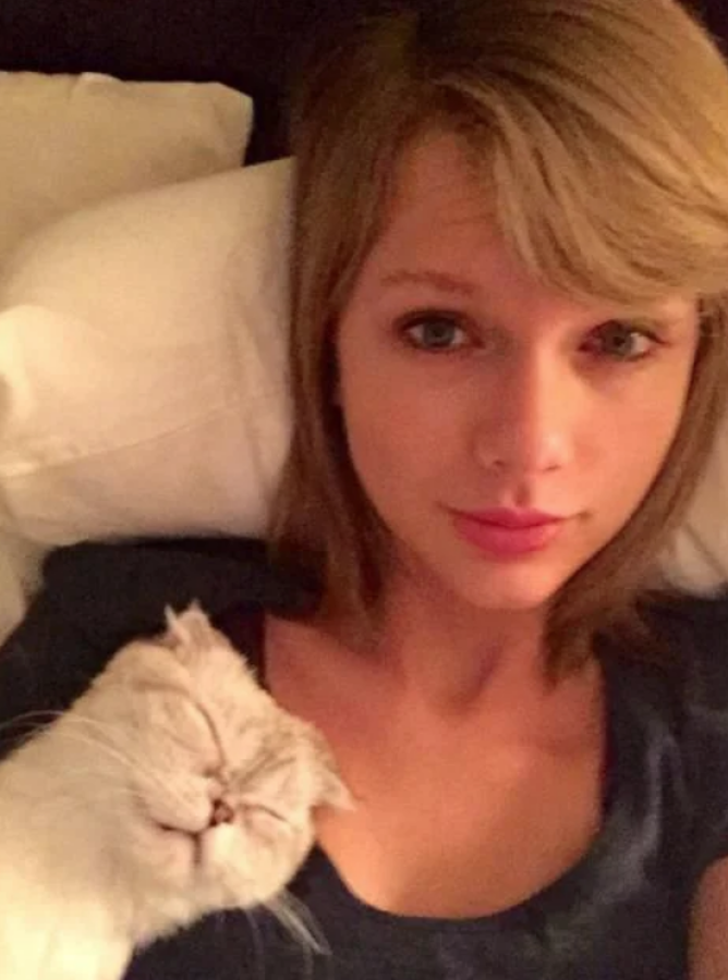Aunque no es nada amante de los maquillajes recargados o las fantasías cosméticas, es cierto que Taylor Swift es adicta al eyeliner y la máscara de pestañas. Así, sin sus básicos de belleza, podemos comprobar que sigue teniendo una cara de niña total. El 'photo bombing' de su gato no lo tenemos tan claro: ¿de verdad tiene el cuello tan largo?