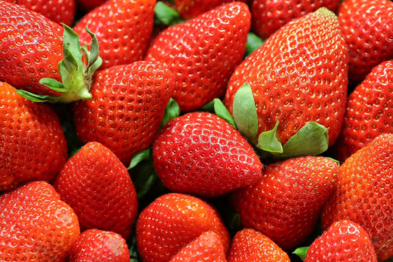 Toda la familia de los frutos rojos es, en general, rica en antioxidantes, pero las fresas y fresones son especialmente interesantes porque tienen una temporada muy larga (desde enero hasta junio si son de invernadero) lo que nos permite disfrutarlos cuando hace frío y cuando no. Tanto fresas como fresones contienen una buena cantidad de vitamina C además de ácido fólico y minerales como el magnesio.