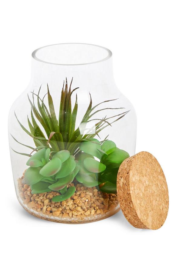 Este terrario de cristal de tamaño grande con tapa de corcho es de Primark y tiene un precio de 9 euros.