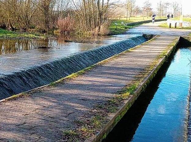 El Parque Salburua en Vitoria está lleno de humades y kilómetros de senderos.