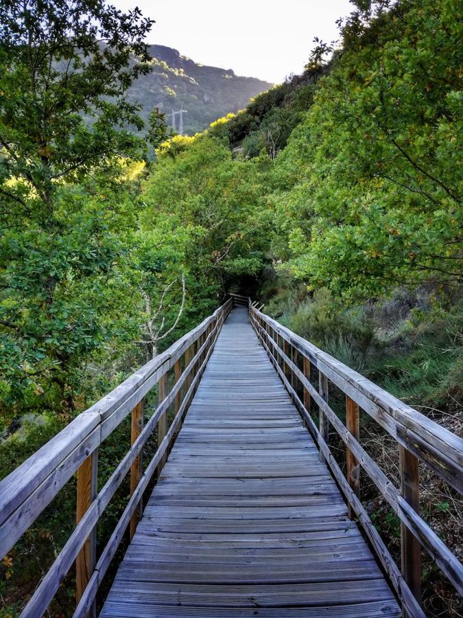 La Ribeira Sacra, en la provincia de Ourense, atesora algunos de los paisajes más espectaculares de Galicia. En esta región mágica los ríos han formado profundos cañones en cuyas laderas crecen exuberantes bosques. Aunque el más famoso es el cañón del Sil, el del río Mao bien merece una visita y es ideal para ir con niños. Los últimos kilómetros del cauce, hasta su desembocadura en el Sil, discurren por unas pasarelas de maderas colgadas en medio del bosque. El recorrido, desde la antigua central hidroeléctrica llamada Fábrica de la Luz, es de poco más de dos kilómetros y hará las delicias de los más pequeños.