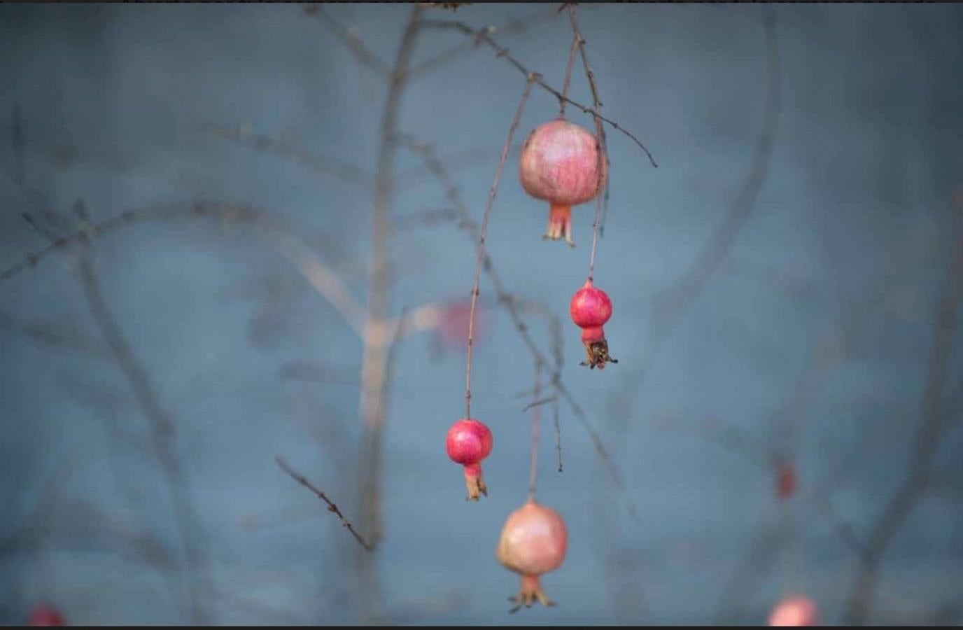 Fotos: Descubre la exposición Miradas cruzadas: La Casa Carvajal, de Cristina Rodríguez-Acuña