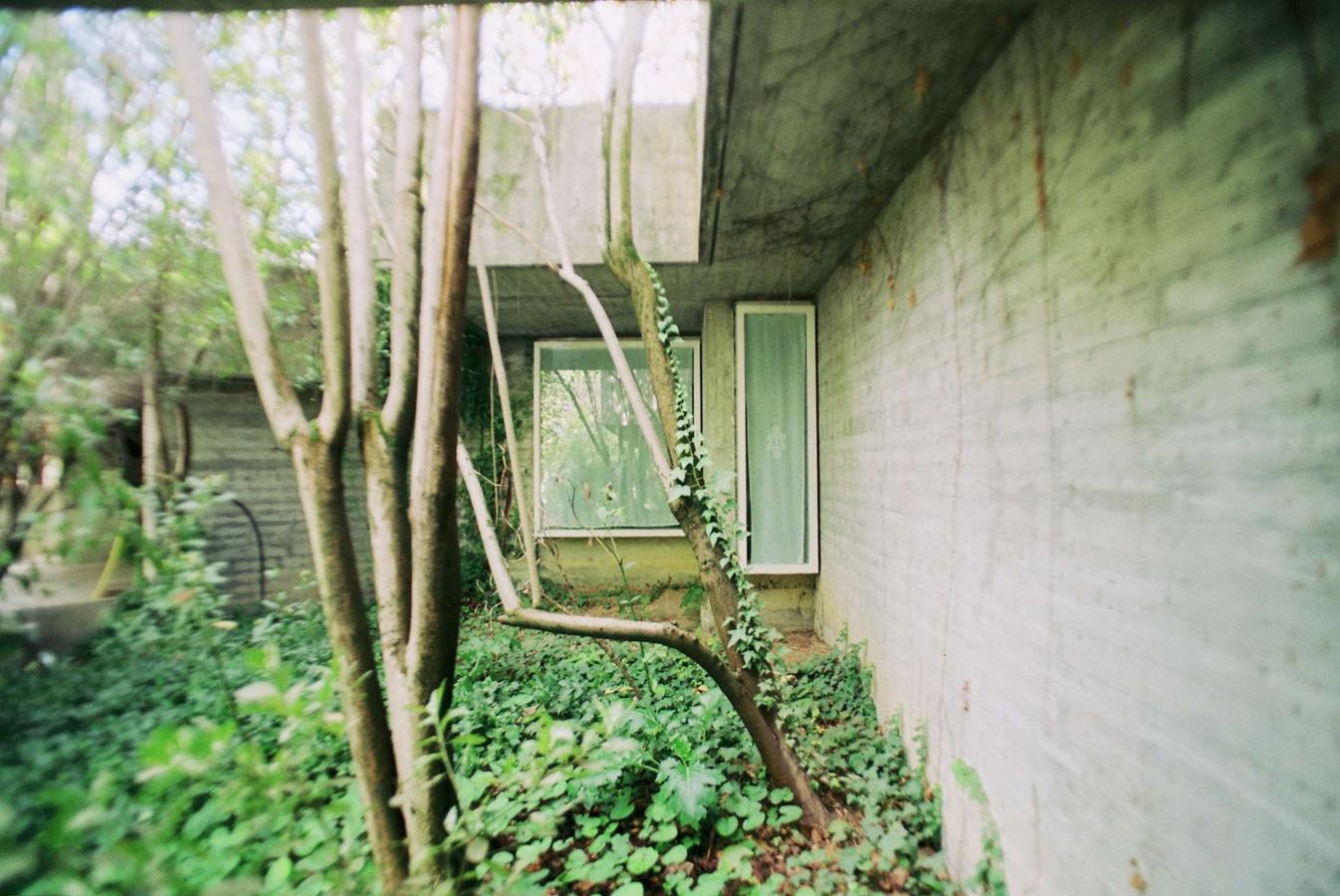 Fotos: Descubre la exposición Miradas cruzadas: La Casa Carvajal, de Cristina Rodríguez-Acuña