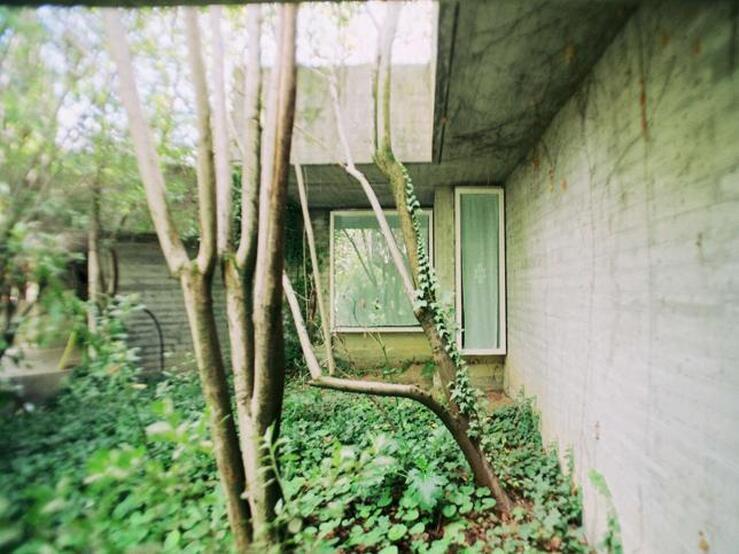 Fotos: Descubre la exposición Miradas cruzadas: La Casa Carvajal, de Cristina Rodríguez-Acuña