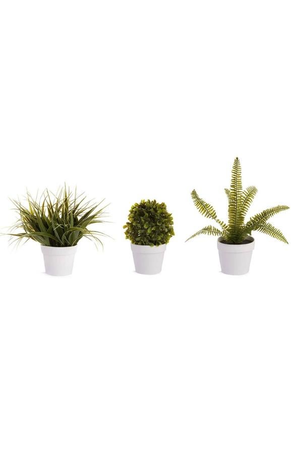 Estas plantas artificiales con macetero de color blanco tienen un precio de 3 euros.