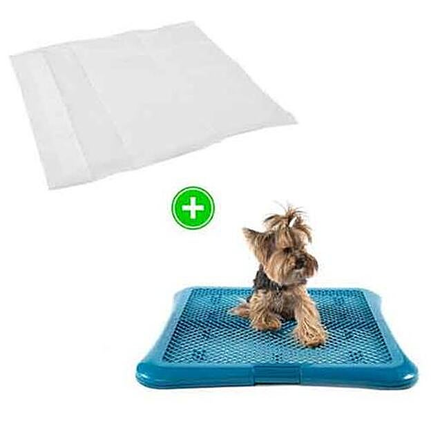 Hasta que tu cachorro pueda pasear, necesitas estos empapadores.