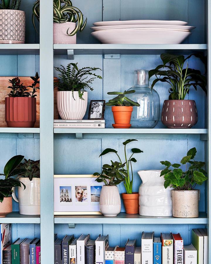 Las plantas serán tus mejores aliadas para llenar de color y frescura tu hogar esta primavera. Sean naturales o artificiales, juega con los diferentes jarrones y maceteros que puedes encontrar en Amazon Home desde 15 euros.