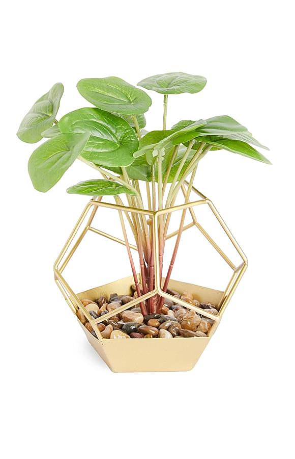 Con forma geométrica y estructura dorada, este macetero de vidrio cuenta con una planta artificial en su interior y tiene un precio de 7 euros.