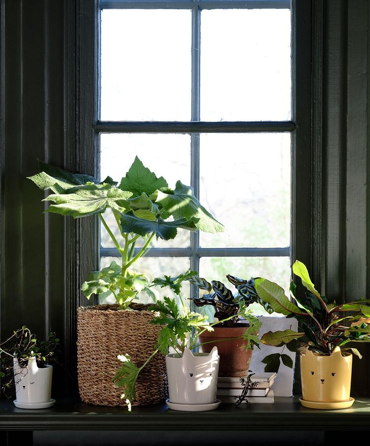 Este macetero de rafia trenzada cuesta 19.99 euros en H&M Home.