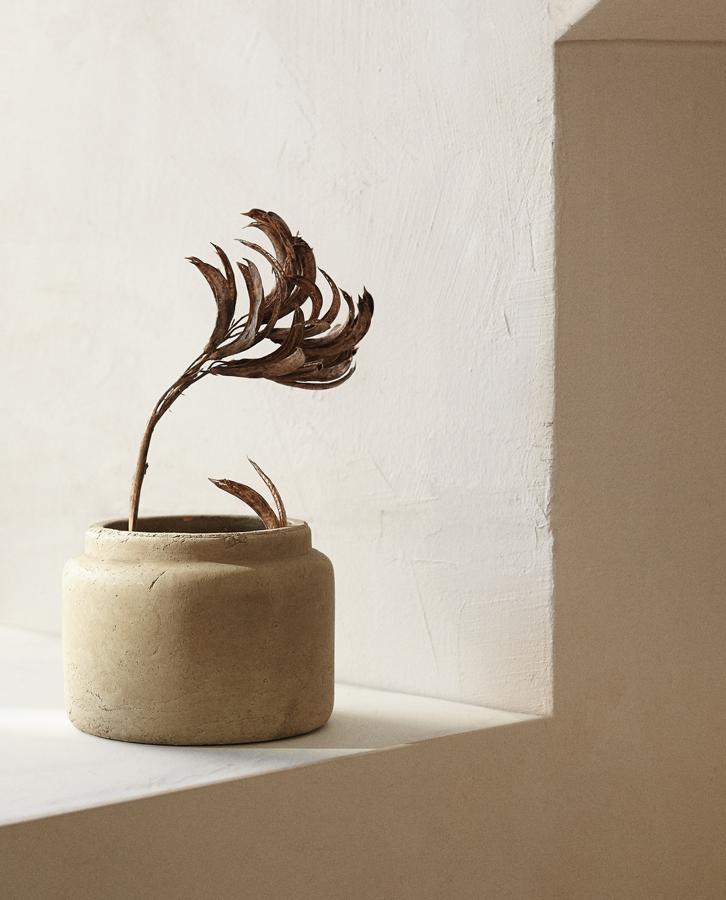 Este jarrón de terracota de color beige tiene una altura de 16,5 centímetros y un ancho de 12,3. Su precio es de 19,99 euros.