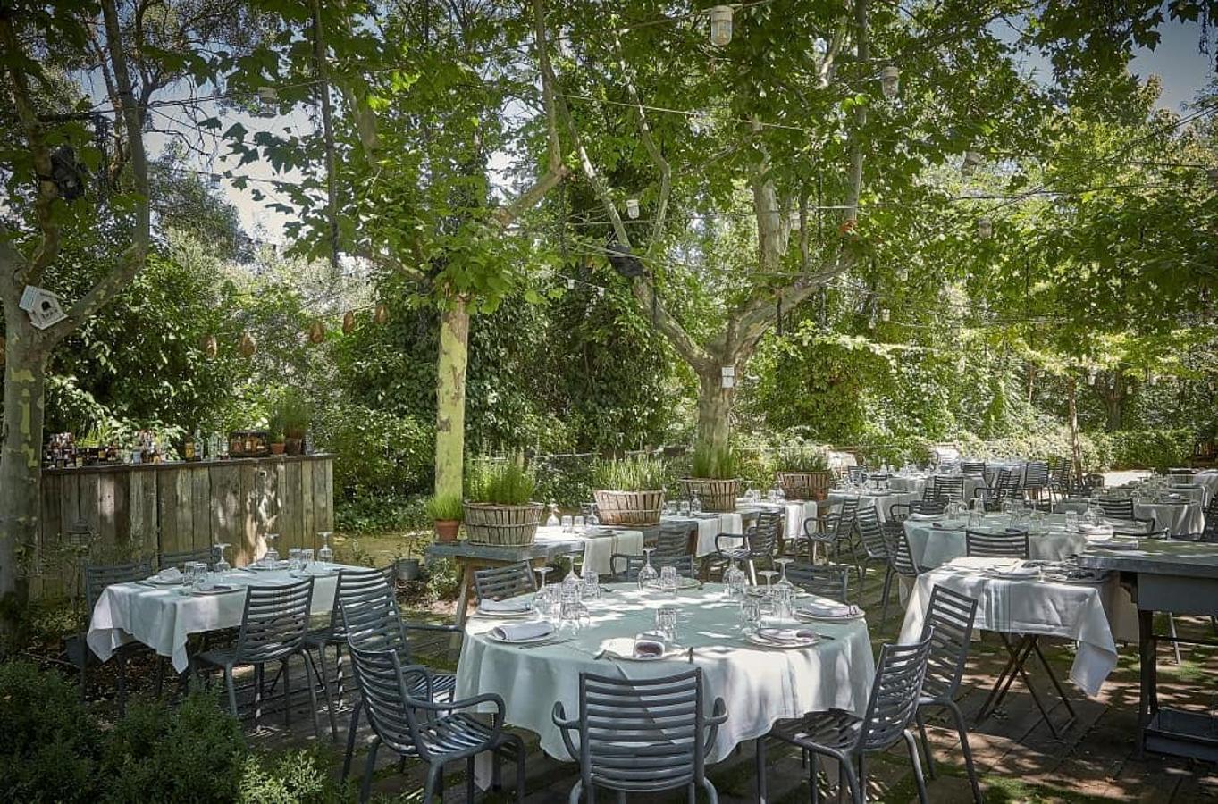 Restaurante Filandón, en la Carretera de El Pardo a Fuencarral, Km. 1.9, en Madrid. Disfrutar de la naturaleza a pocos minutos del centro de la ciudad y, de paso, de una carta exquisita en la que la parrilla y los productos de la mejor calidad son los protagonistas.