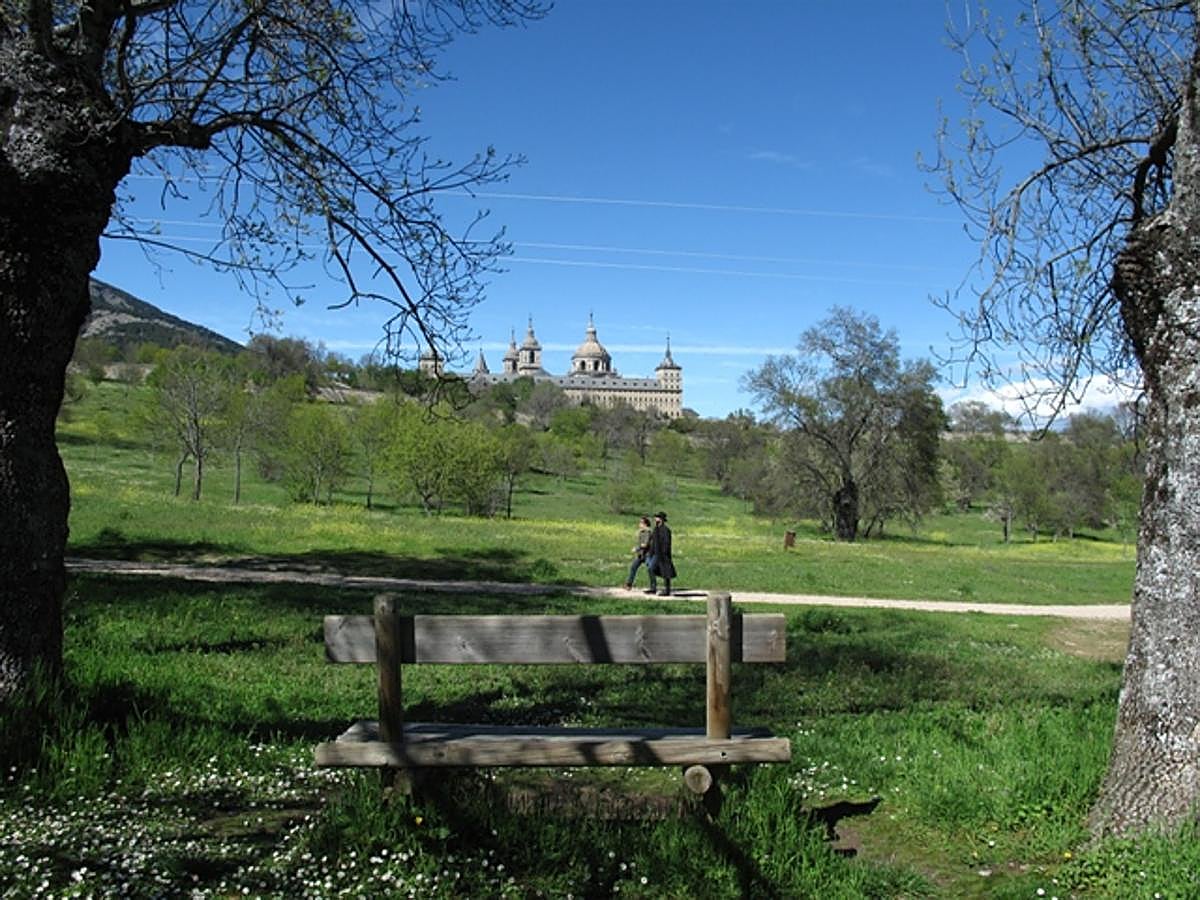 Declarado Paisaje Pintoresco en 1961, el Bosque de la Herrería, en San Lorenzo de El Escorial, es uno de los enclaves naturales más bonitos para disfrutar de un día de campo a menos de una hora de Madrid. Con una variedad de flora de tipo Mediterráneo excepcional, no es raro que los visitantes que acudan a realizar senderismo o excursiones a sitios tan emblemáticos como la Silla de Felipe II, avisten jabalíes, corzos, ciervos o zorros en la zona. Las vistas, además, al Monasterio de El Escorial lo convierten en un lugar único en la Comunidad para disfrutar de un buen picnic. Eso sí, las barbacoas y hacer fuego está prohibido bajo pena de multa.