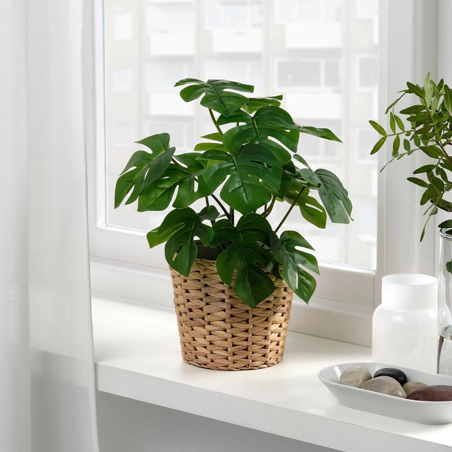 Si buscas una planta con presencia, la monstera siempre funciona. Puedes añadir un macetero de fibra natural para darle un toque más tropical. Esta planta artificial de Ikea cuesta 6 euros.